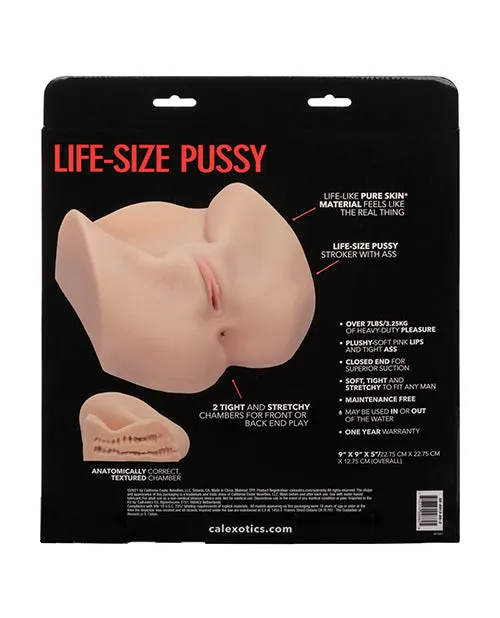 CalExotics Male Sex Toys Stroke It Life Size Pussy CalExotics Male Sex Toys Stroke It Life Size Pussy